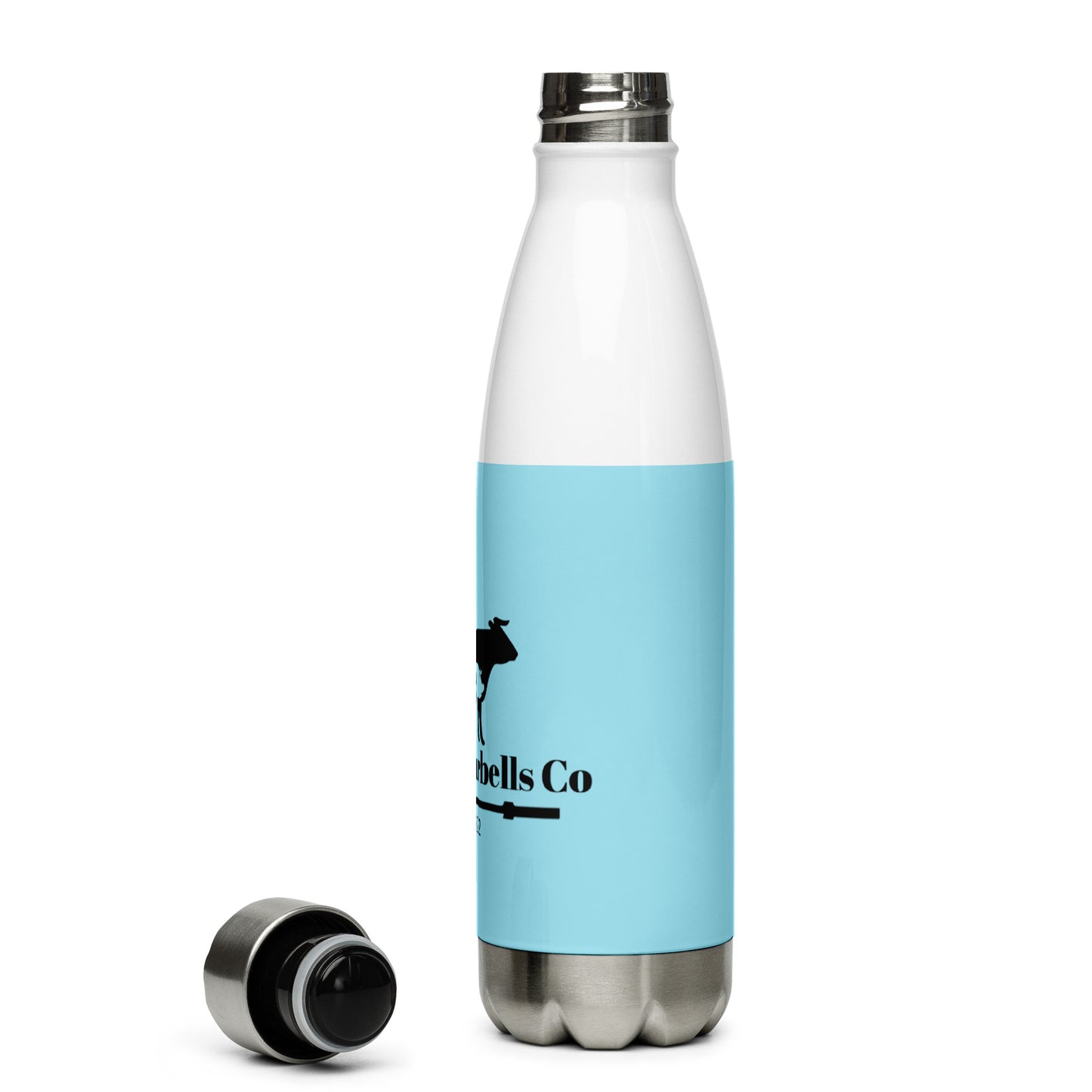 Stainless Steel Water Bottle